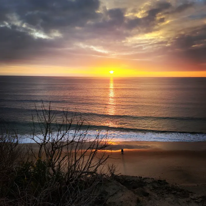 Crystal Cove State Park