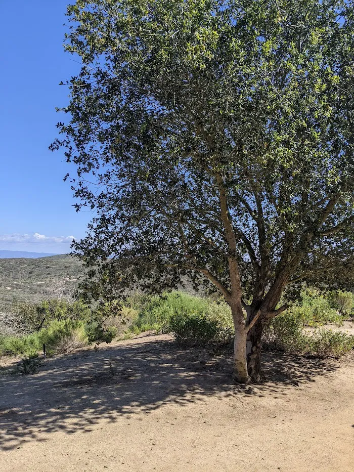 Deer Canyon Campground