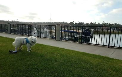 Bayside Village Marina