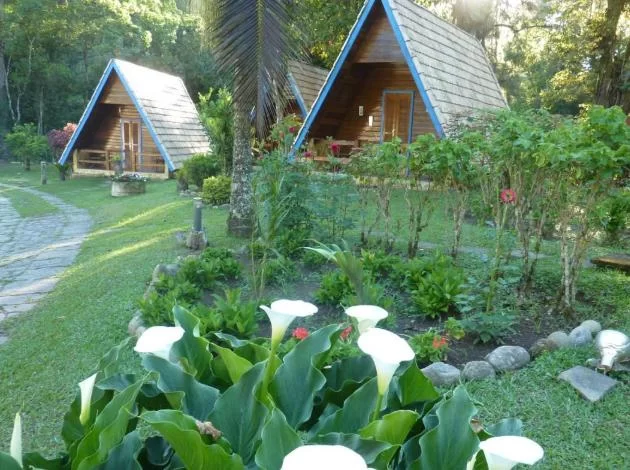 Charming Mountain Cabins for Winter Getaways