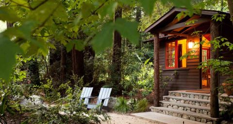 Cottages with Large Gardens and Picnic Areas: The Perfect Getaway for Outdoor Lovers