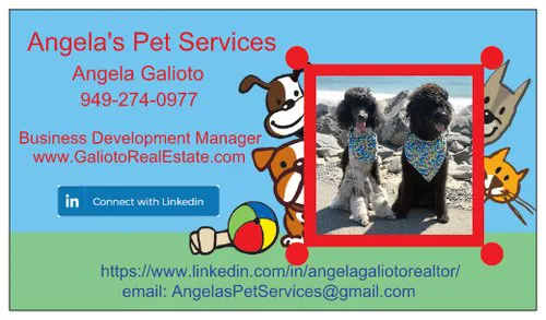 Angela's Pet Services
