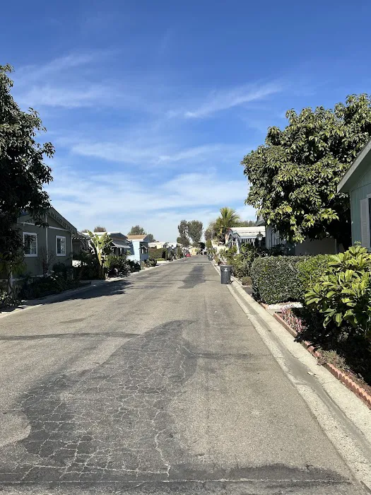 Plaza Village